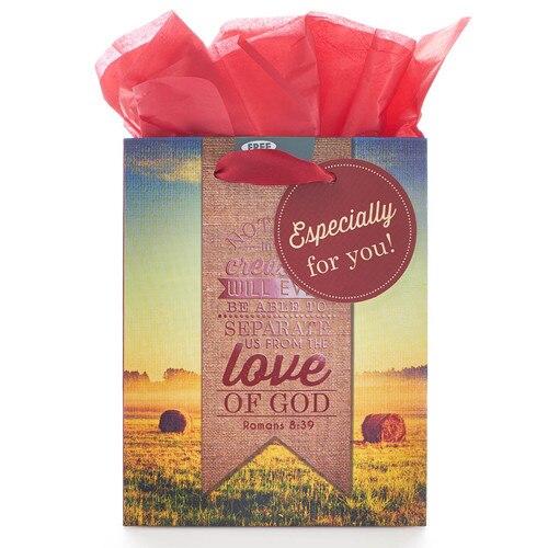 Gift Bags Christian Art Gifts