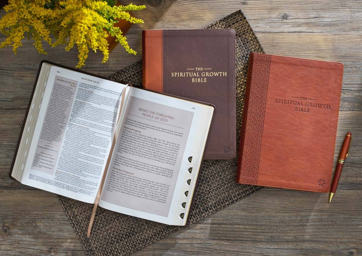NLT Bible