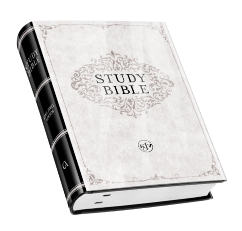 Hardcover