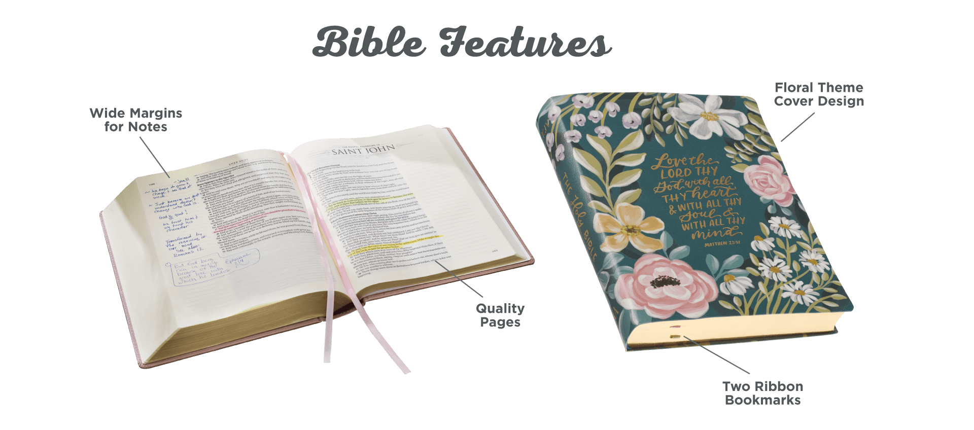 Bible Features