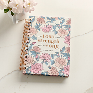 Featured Gift Ideas for Journals