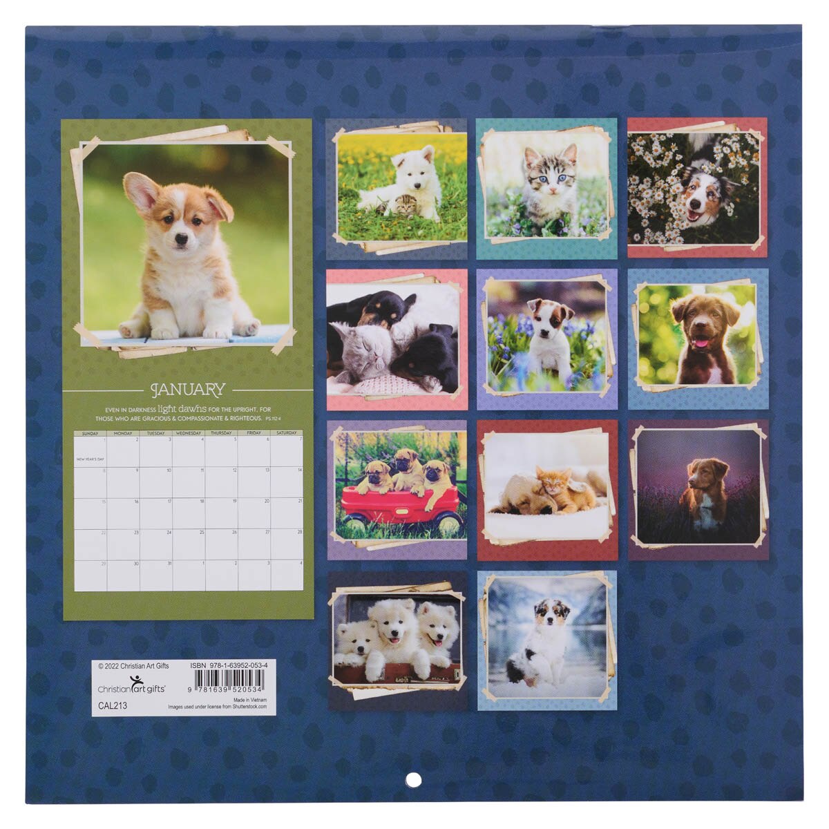 Details about   2018 BEST FRIENDS ANIMAL SOCIETY SAVE THEM ALL BEAUTIFUL WALL CALENDAR 