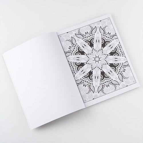 Image FeatureB