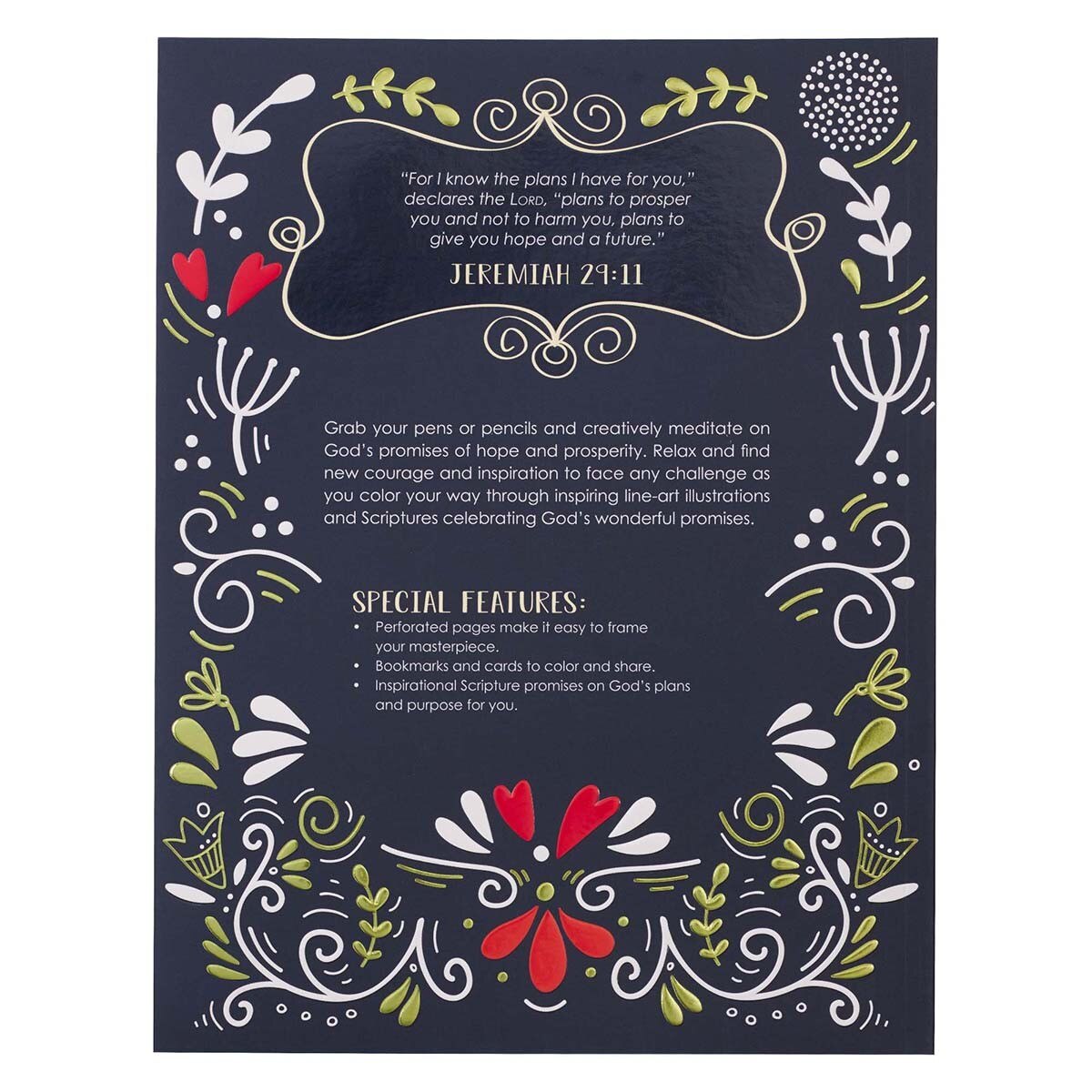 Download I Know The Plans I Have For You Coloring Book For Adults Jeremiah 29 11