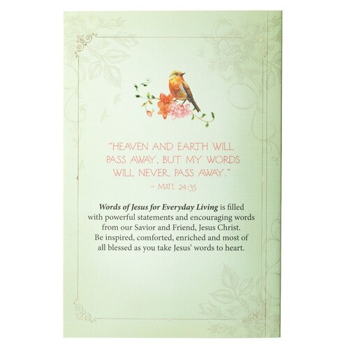 Image Back