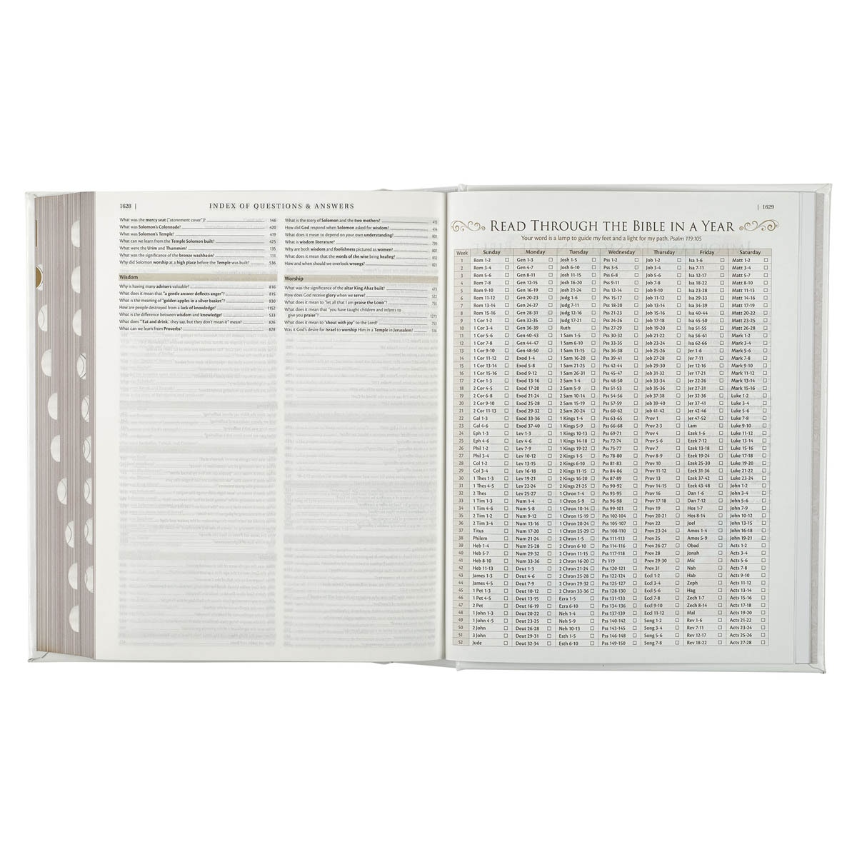 FHB003_11--featureG.jpg