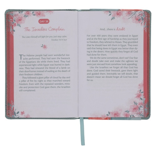 Trusting God Plan Devotional Trusting God Plan Devotional