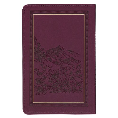 Image Back