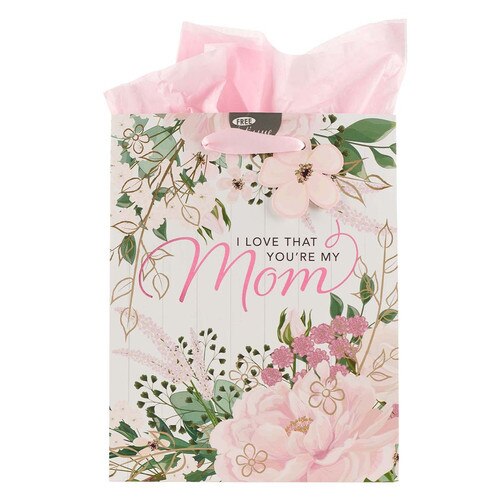 I Love that Youre My Mom Medium Gift Bag