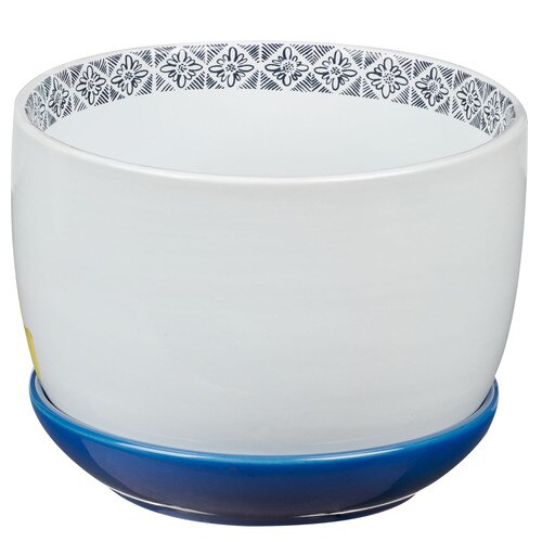Image Back