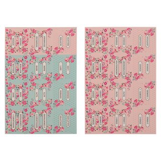 Pink and Blue Old and New Testament Bible Indexing Tabs