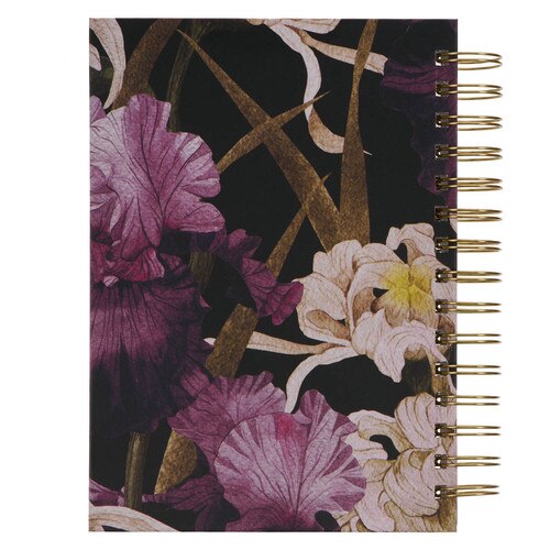 Image Back