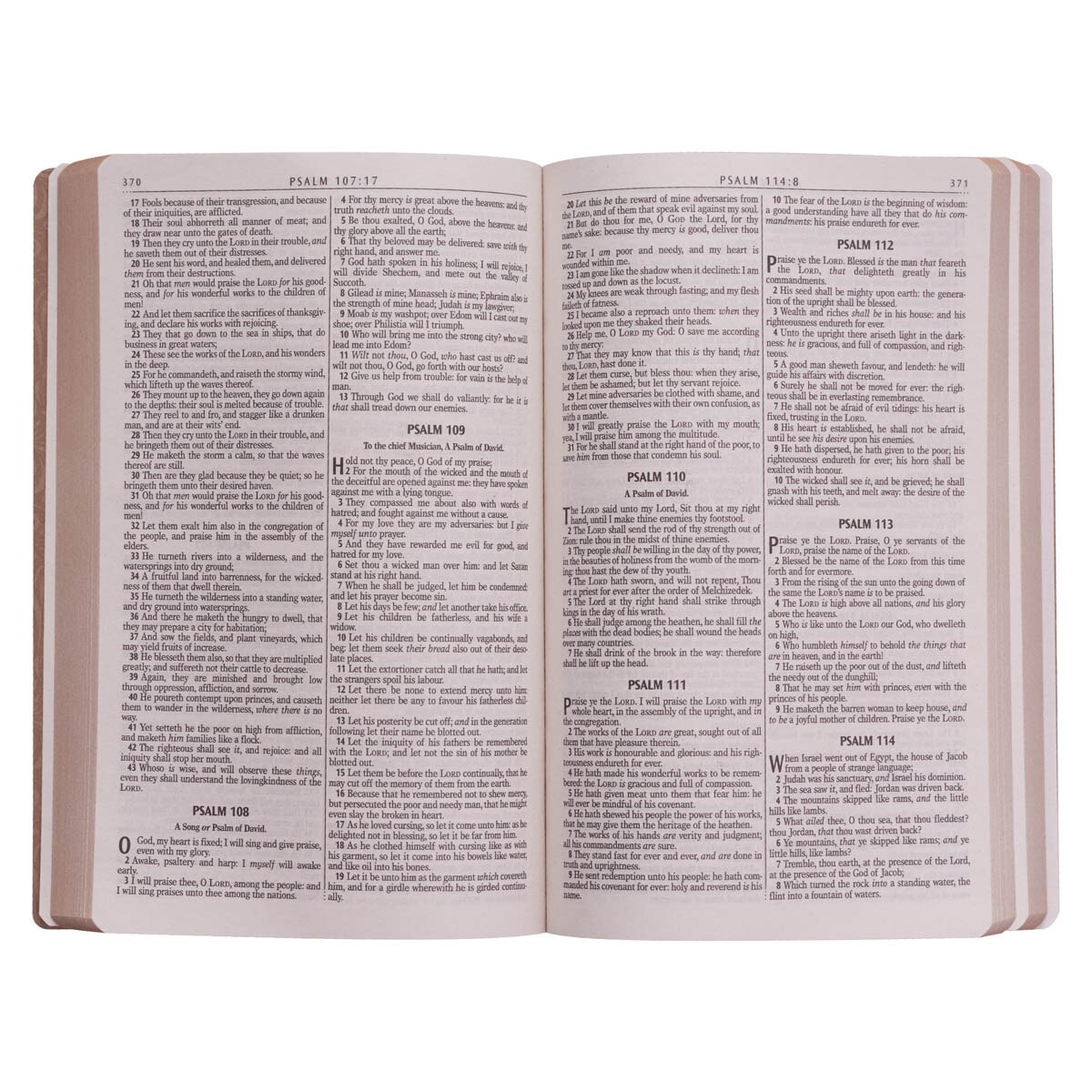 Tan Faux Leather King James Version Gift and Award Bible