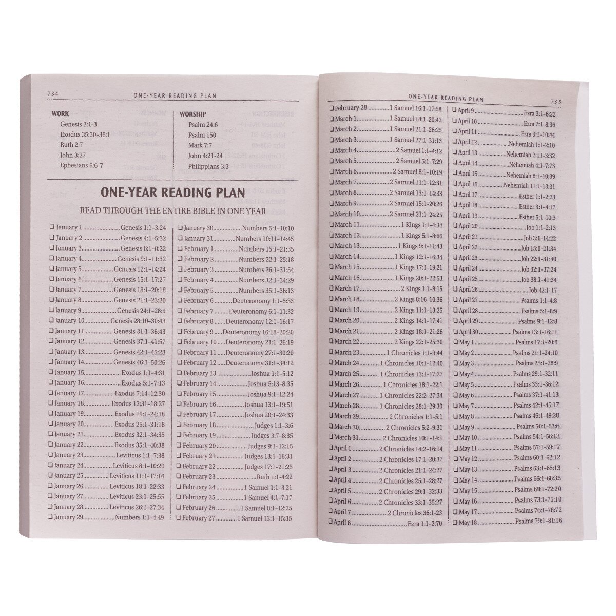 SilverGray Damask Softcover King James Version Outreach Bible