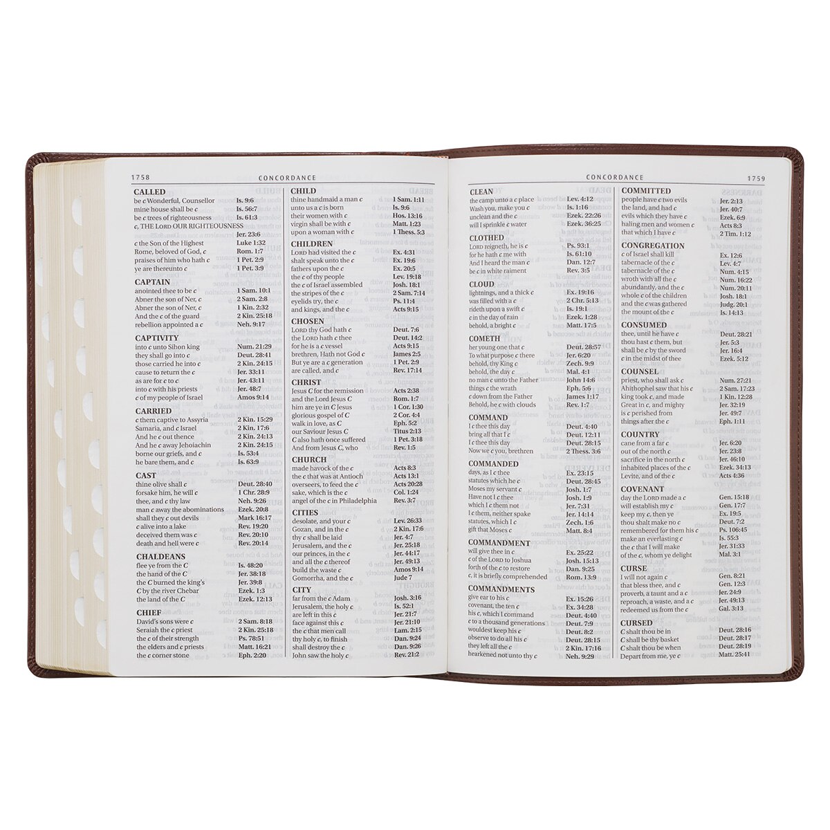 Chestnut Brown Faux Leather Super Giant Print King James Version