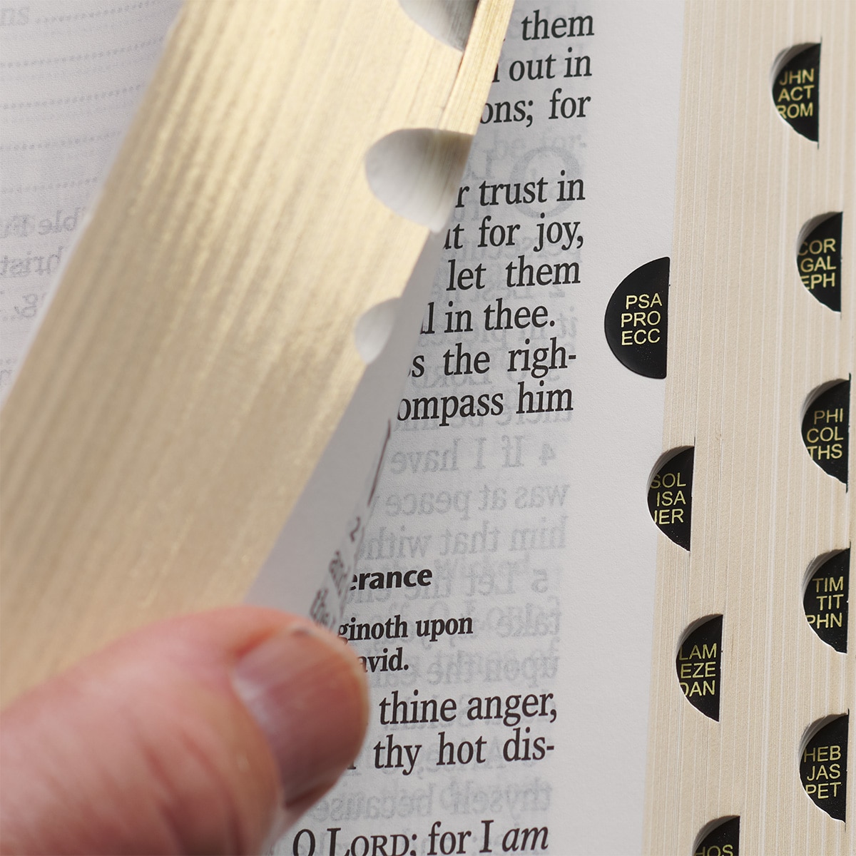 KJV Giant Print Red Letter Bible, Faux Leather w/Ribbon Marker, Two-tone Brown - Imagen 5 de 10