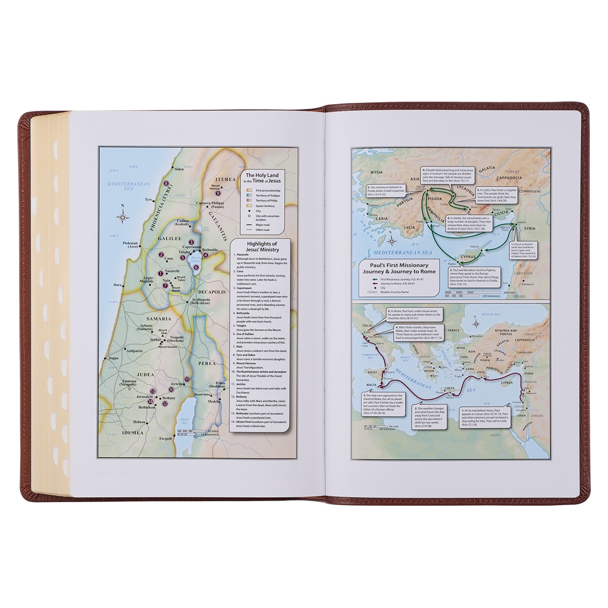 KJV Riesendruck rote Buchstaben Bibel, Premium Vollnarbenleder mit Band, Sattelbraun - Bild 7 von 10