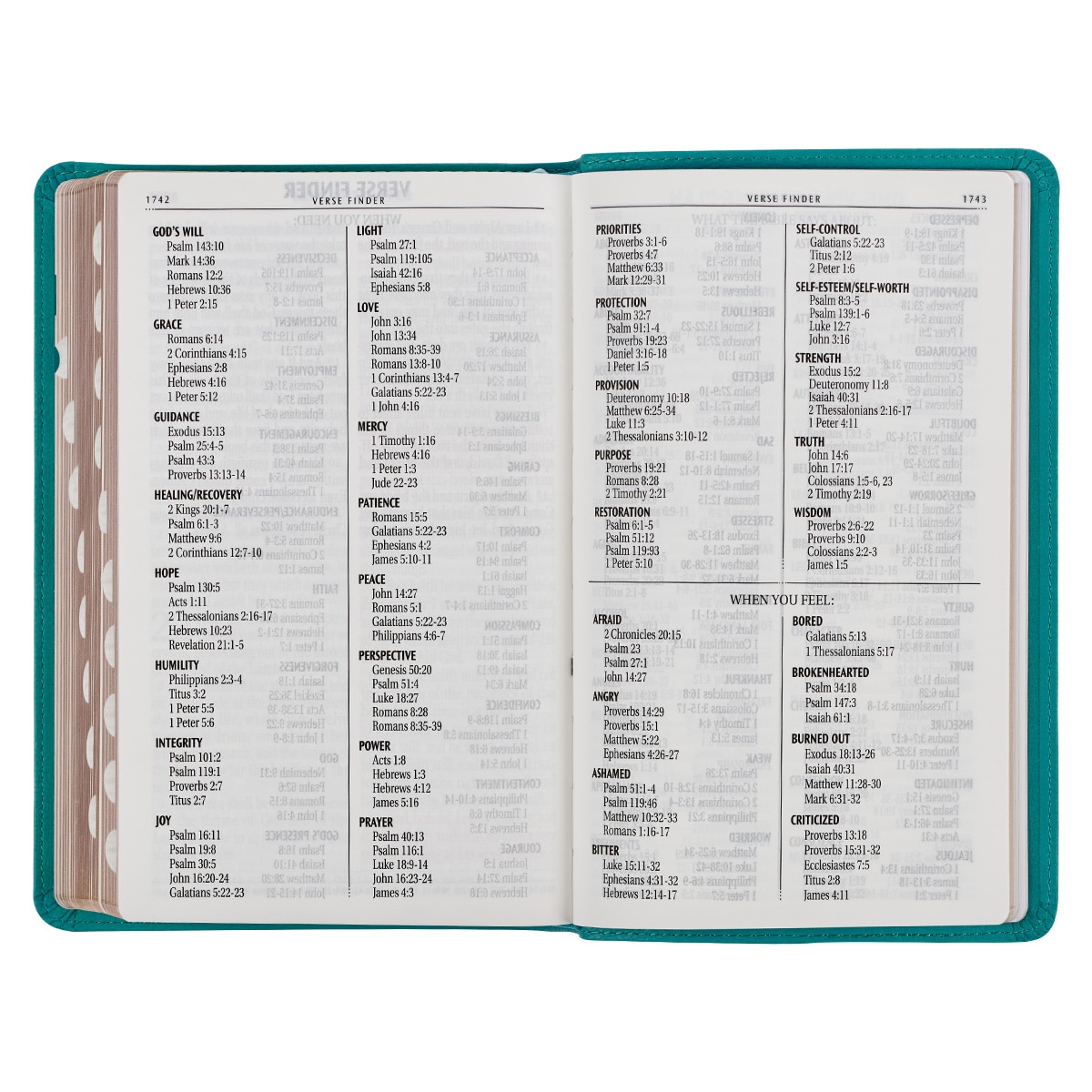 KJV Riesendruck rote Buchstaben Bibel, Kunstleder mit Band Marker, türkis Blumen - Bild 9 von 10