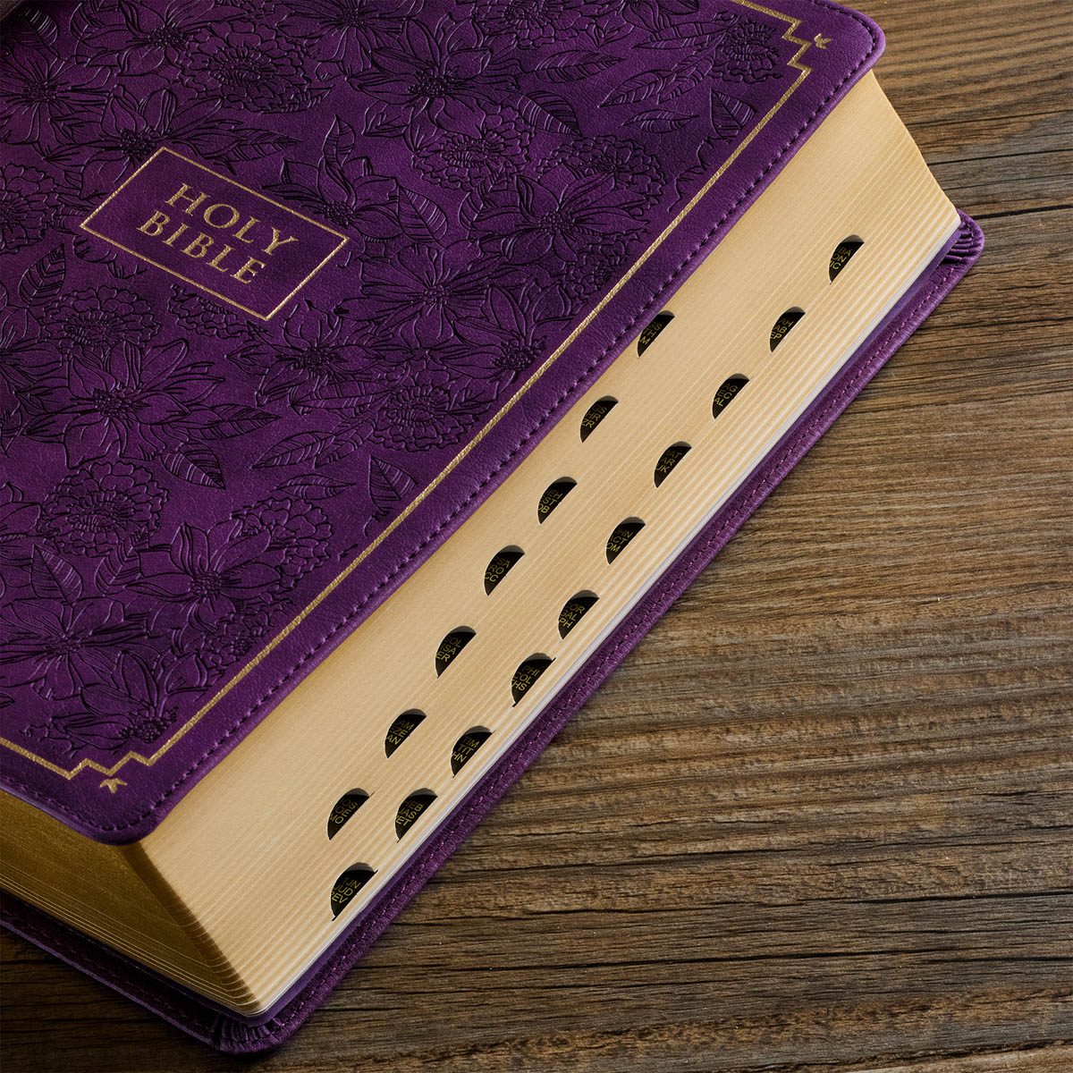 KJV184_5--featureA.jpg