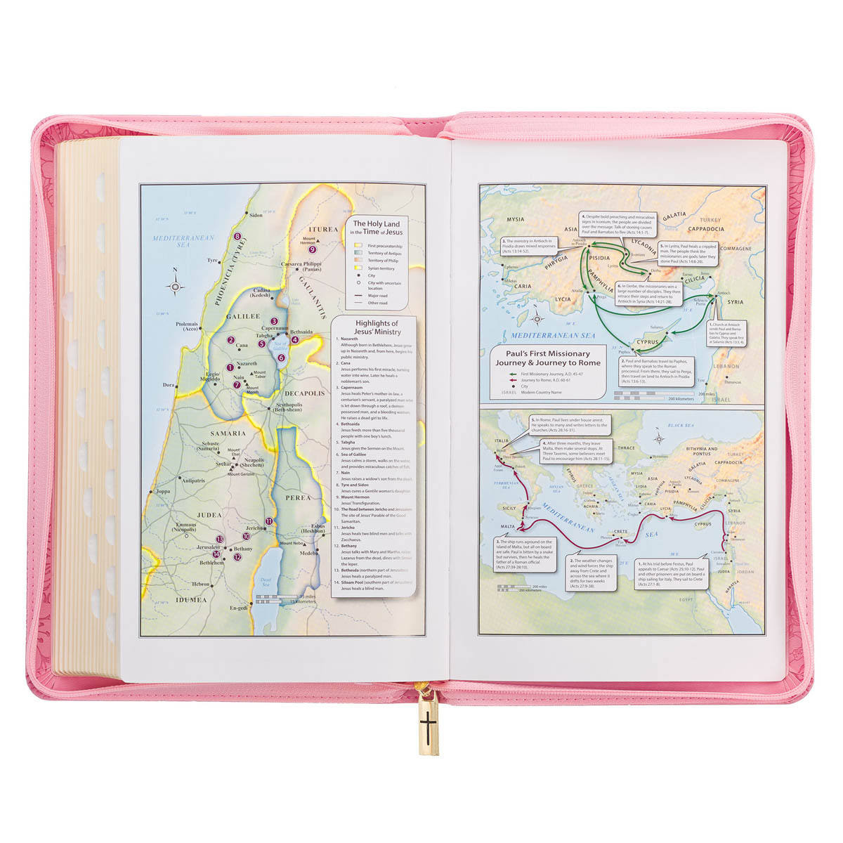 Blossom Pink Faux Leather King James Version Deluxe Gift Bible