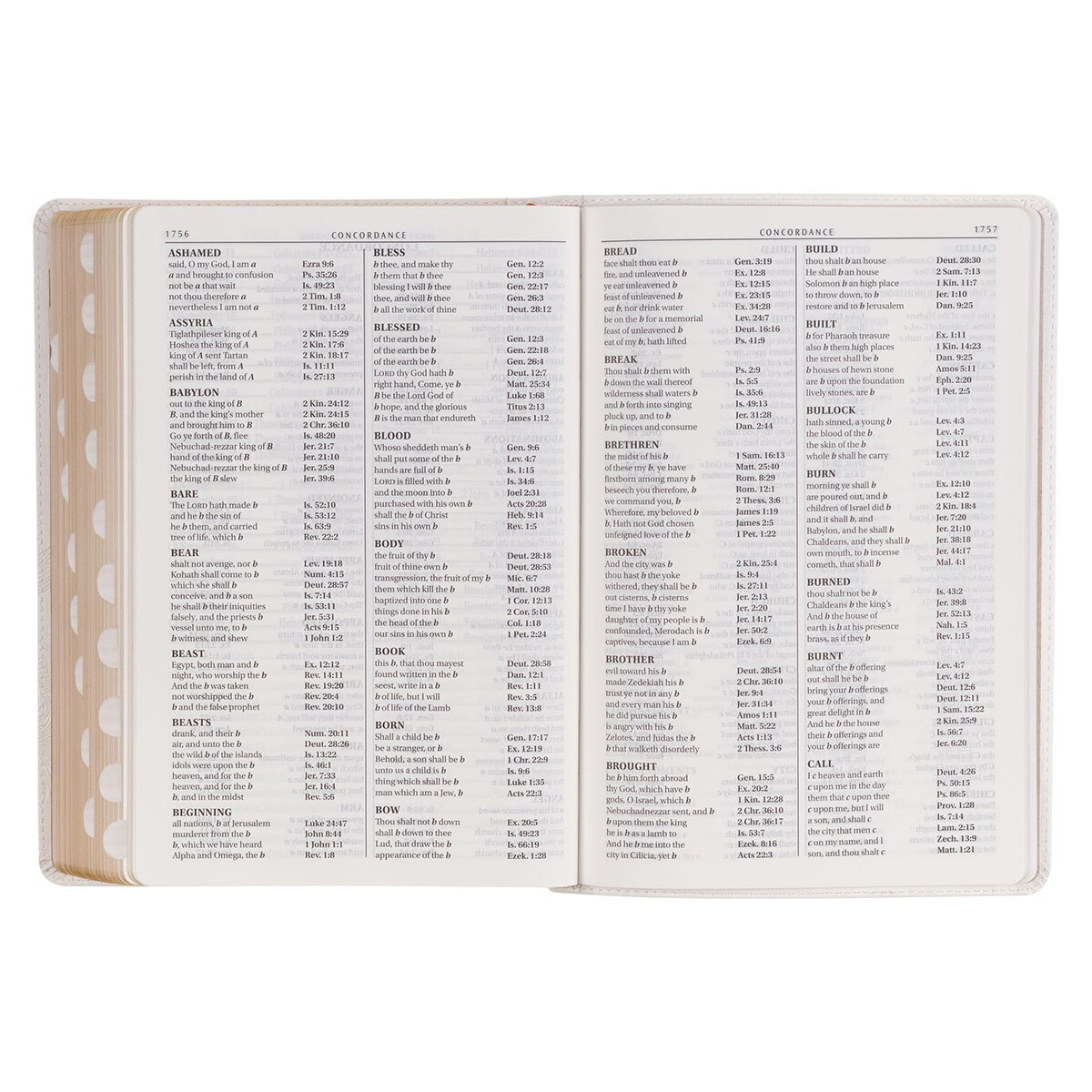 KJV260_8--featureD.jpg