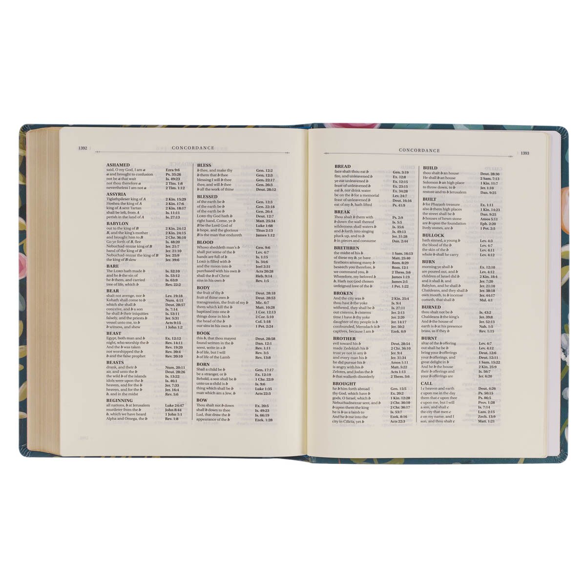 KJV265_10--featureF.jpg
