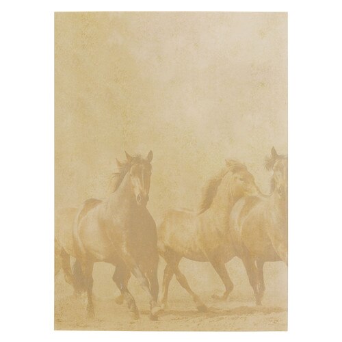 Image Back