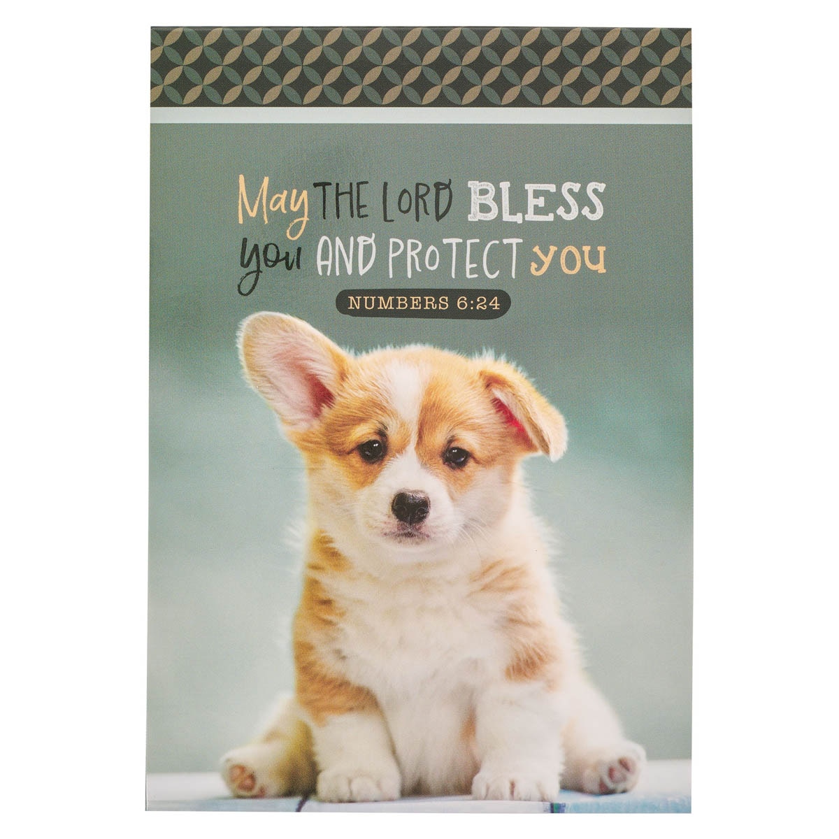 Bray me　DUH、Grace Note、READY、GOOD LUCK May the Lord Bless You Green Puppy Notepad - Numbers 6:24