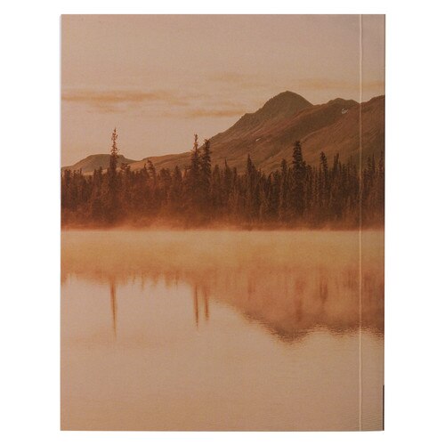 Image Back